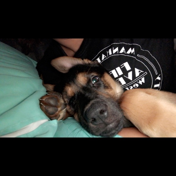 Meet your Posher, Samantha - Picture 1 of 1